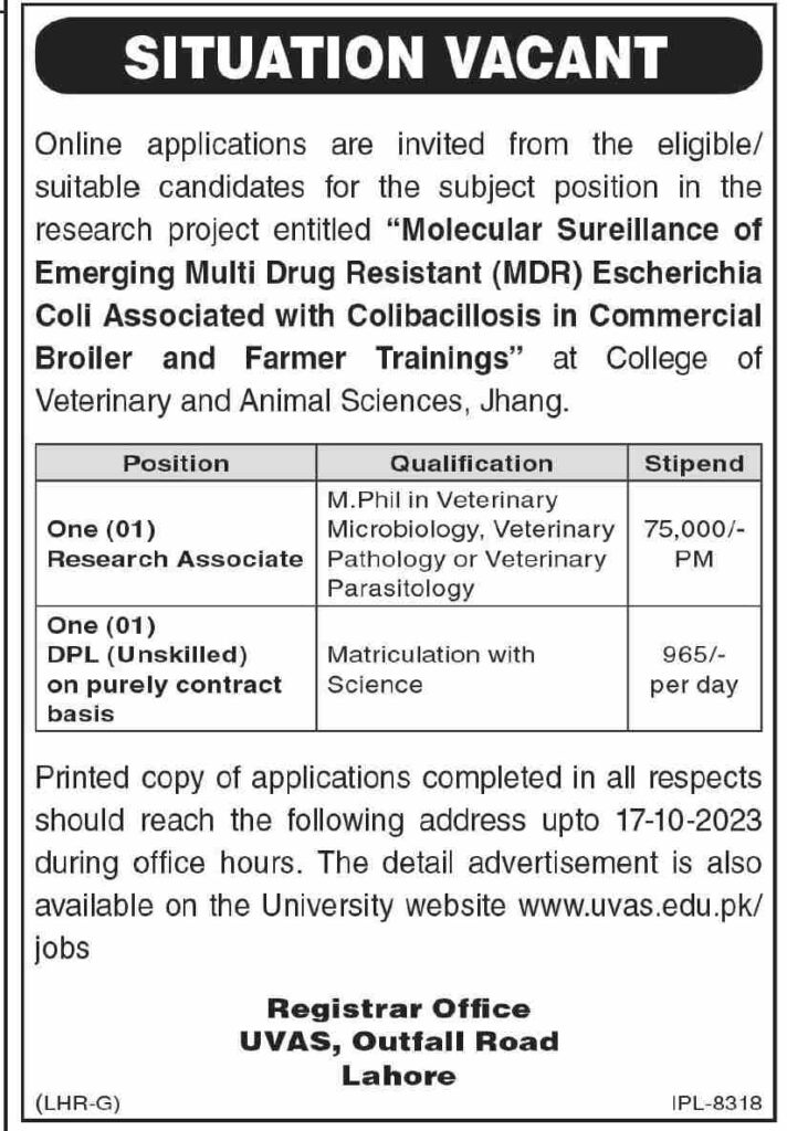 UVAS Jobs 2023 Online Apply - University of Veterinary & Animal Sciences