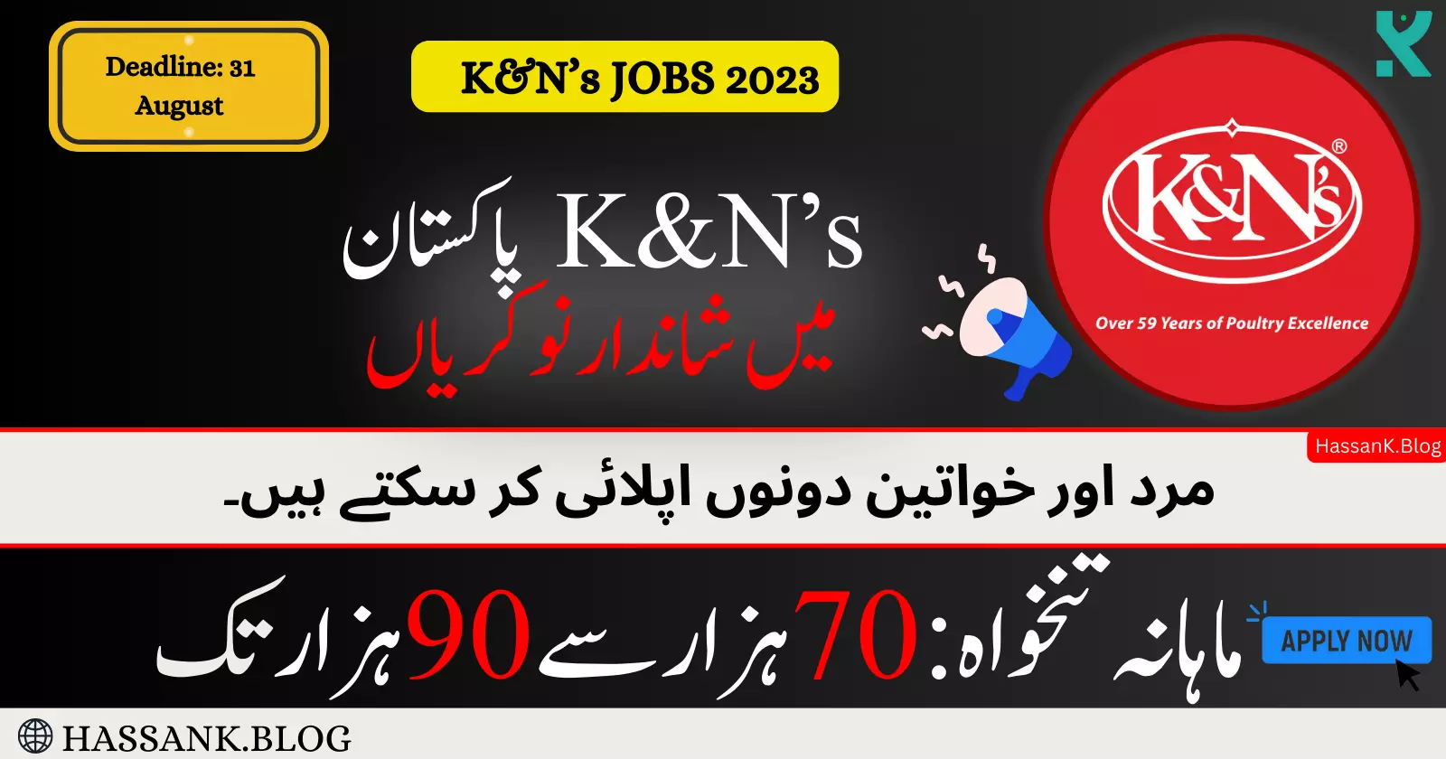 K&N’s Pakistan