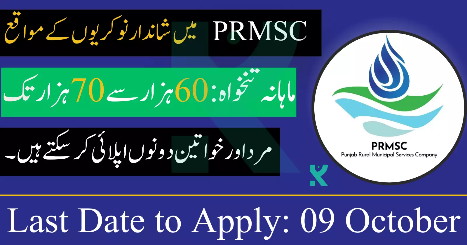 Punjab Rural Municipal Services Company jobs - PRMSC Jobs 2023
