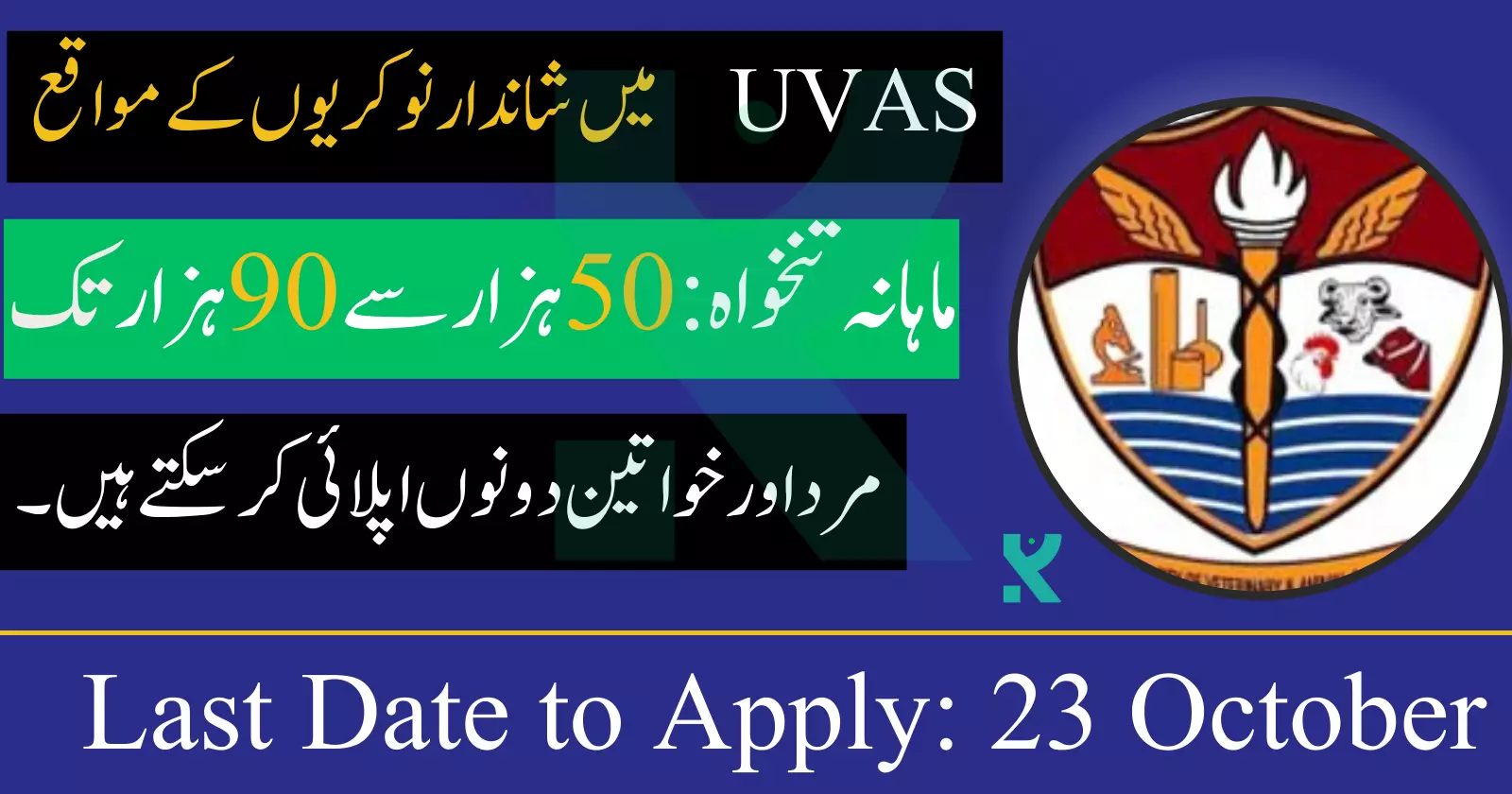 UVAS Jobs 2023 Online Apply