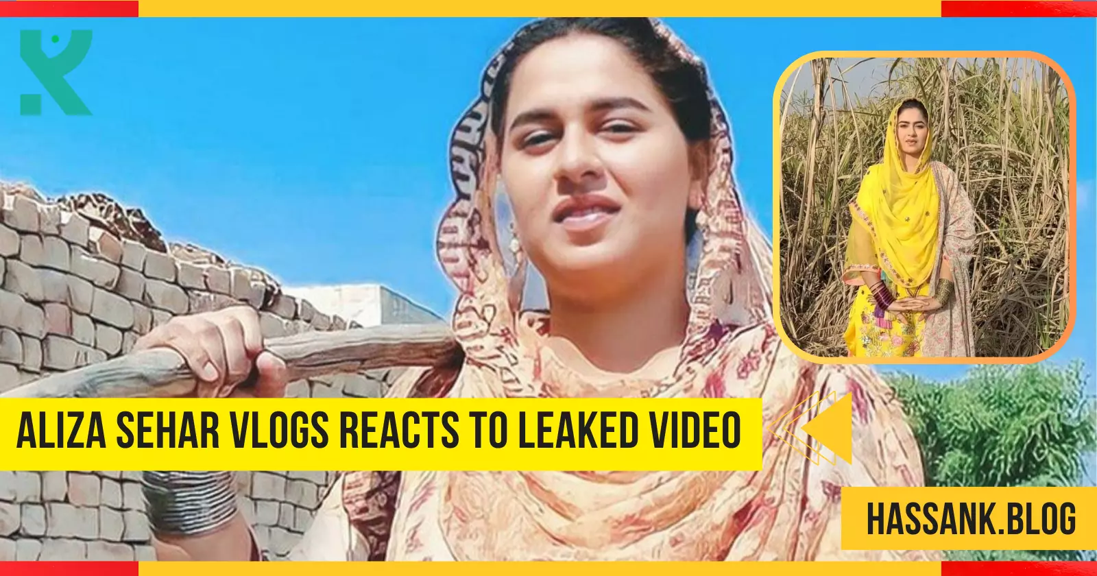 Aliza Sehar Vlogs Reacts to Leaked Video